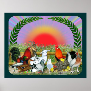 Poster Animaux de ferme