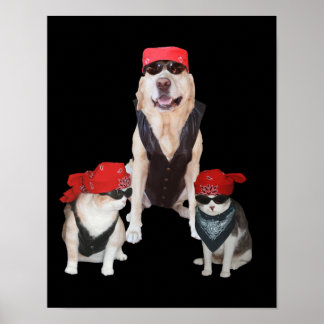 Poster Animaux de moto amusants