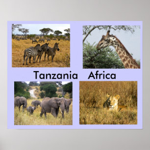 Poster Animaux de Tanzanie Afrique