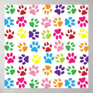 Poster Animaux empreintes de pattes motif