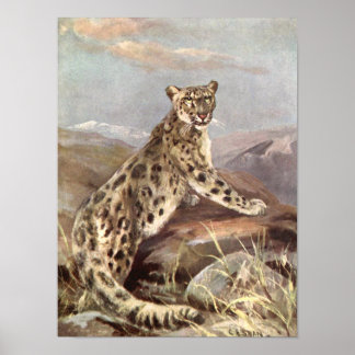 Poster Animaux Sauvages Vintage, Léopard des Neiges par C