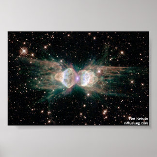 Poster Ant Nebula