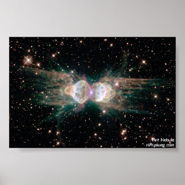 Poster Ant Nebula (Devant)