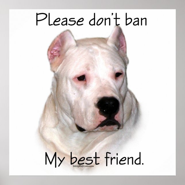 Poster anti-BSL argentin Dogo (Devant)