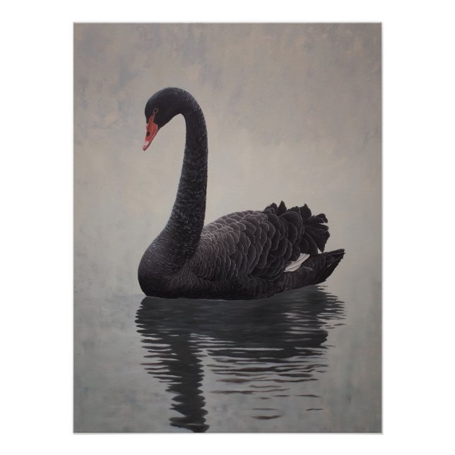 Poster Antique Black Swan Art Print (Devant)