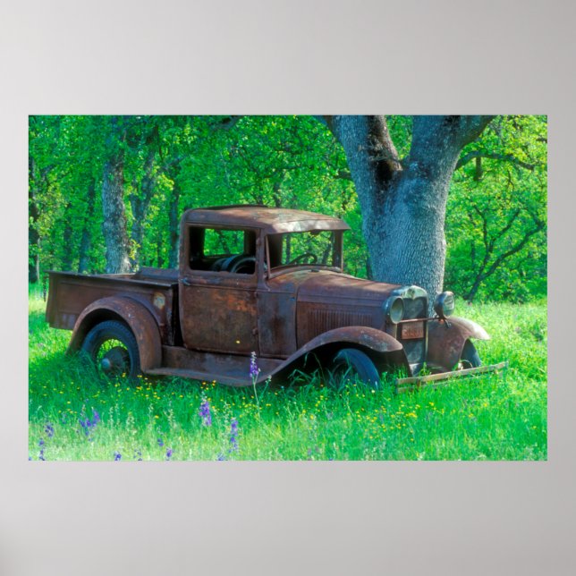 Poster Antique rusted truck in a meadow (Devant)