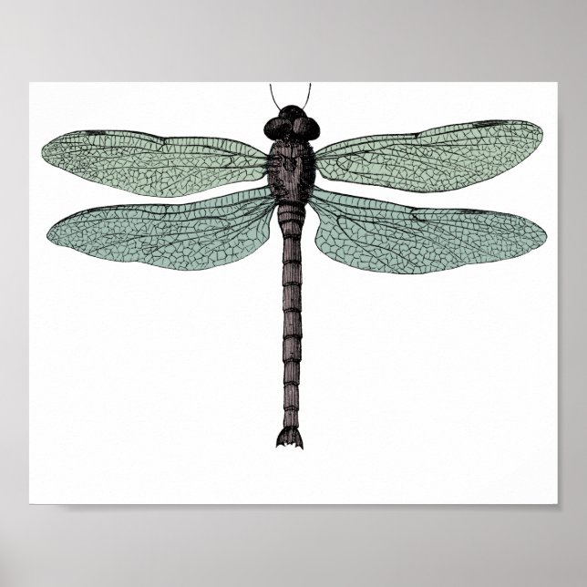 Poster Antique Typographic Vintage Dragonfly Drawing (Devant)