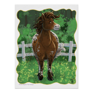 Poster Appaloosa Pony