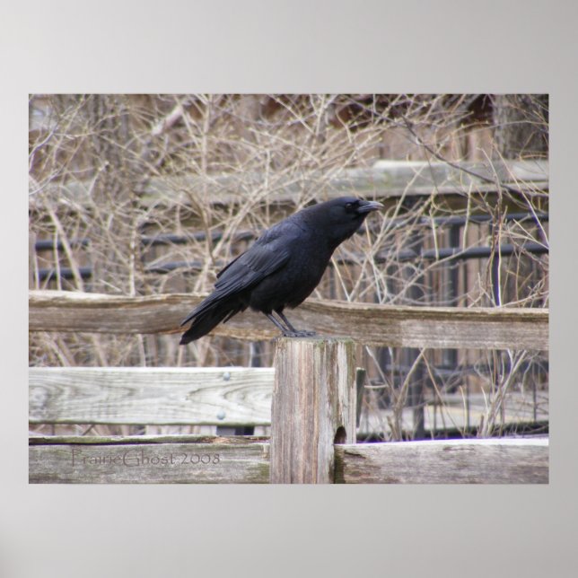 Poster Appel du croisement 1 (Devant)