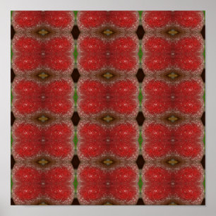 Poster Apple Frost