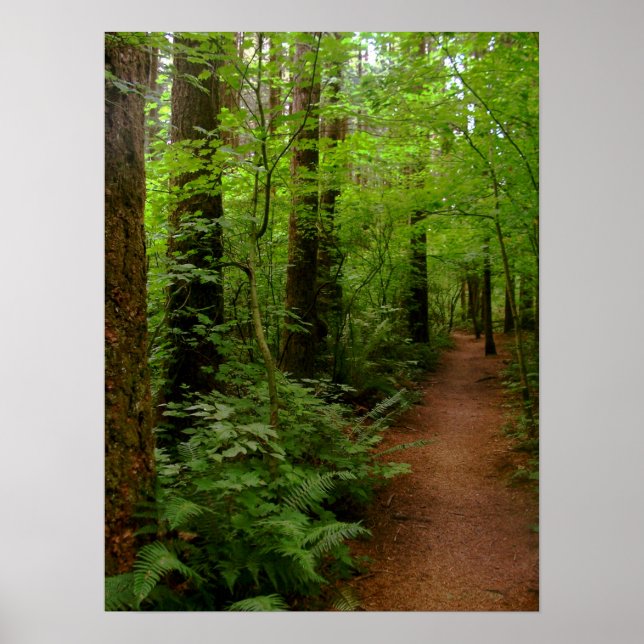 Poster après la pluie (Devant)