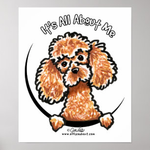 Poster Apricot Jouet Miniature Poodle IAAM