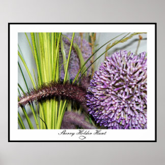 Poster Aquarelle Allium - Taille colossale