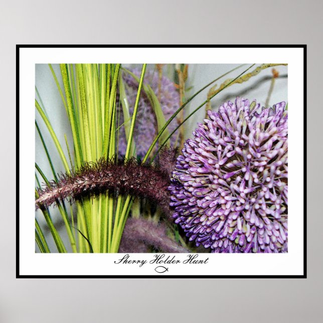 Poster Aquarelle Allium - Taille colossale (Devant)