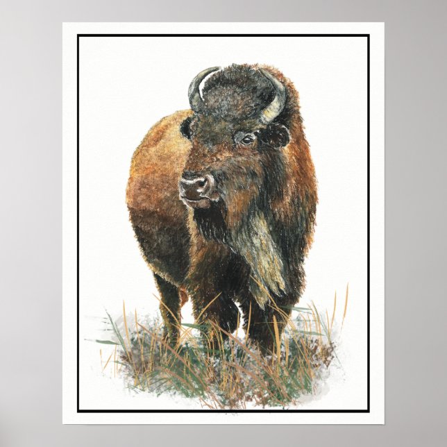 Poster Aquarelle Bison Buffalo Animal Nature art (Devant)