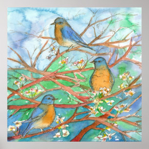 Poster Aquarelle Bluebirds Blossom Fruit Tree Peinture