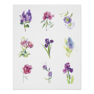 Poster Aquarelle botanique de neuf fleurs printanières