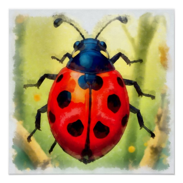Poster Aquarelle, coccinelle (Devant)