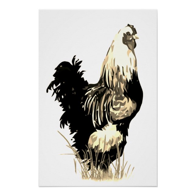 Poster Aquarelle Coq Blanc Noir Poulet Ferme Oiseau (Devant)