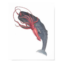 Aquarelle de calmar et de baleine Imprimer