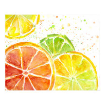 Aquarelle de fruits d'agrumes