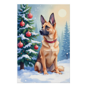 Poster Aquarelle Malinois belge Noël Evergreen