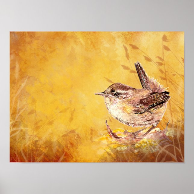 Poster Aquarelle mignonne Peinture d'oiseaux Wren (Devant)