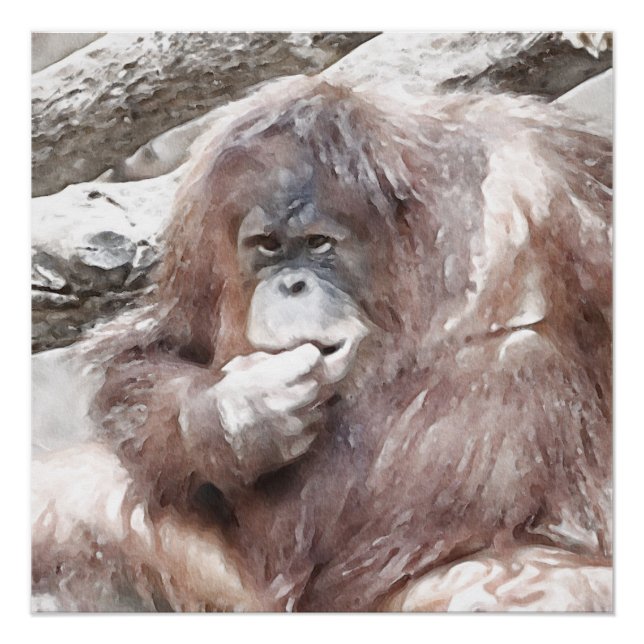 Poster Aquarelle Orang 2 (Devant)