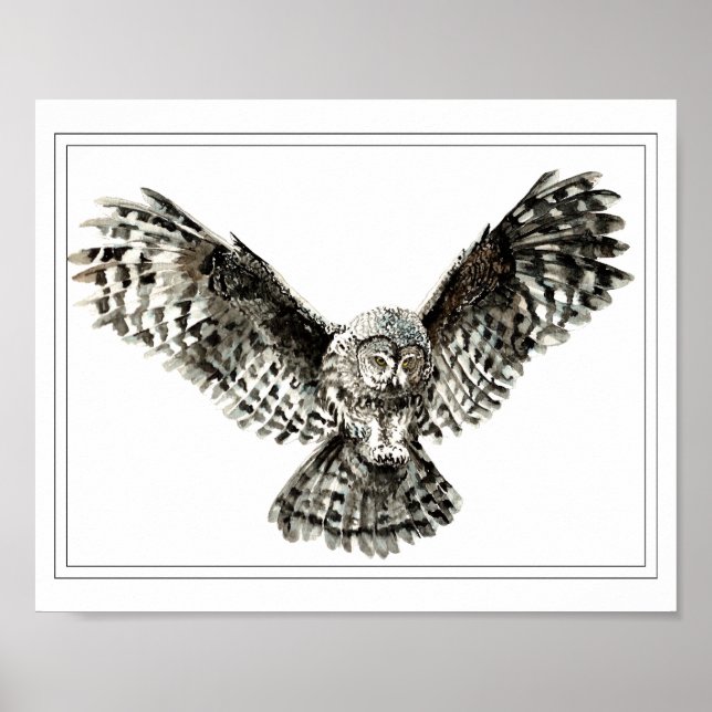 Poster Aquarelle originale Frappe ou Chasse Chouette Oise (Devant)