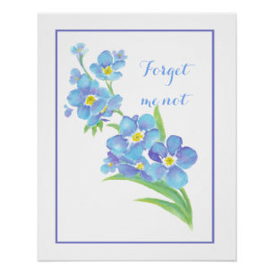 Poster Aquarelle Oubliez-moi pas de fleur Joli bleu flora