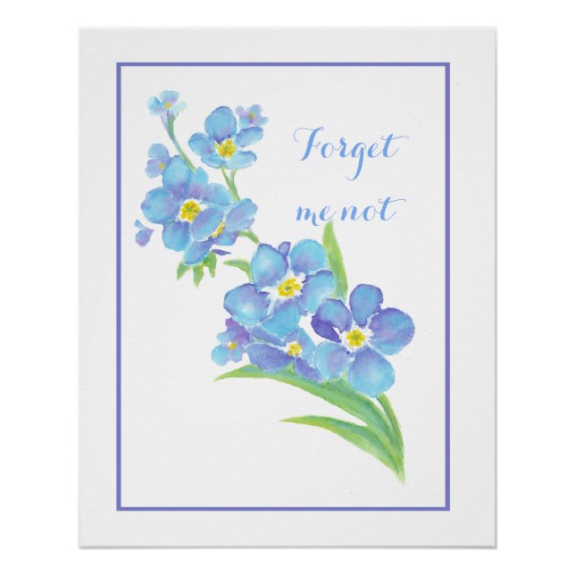 Poster Aquarelle Oubliez-moi pas de fleur Joli bleu flora (Devant)