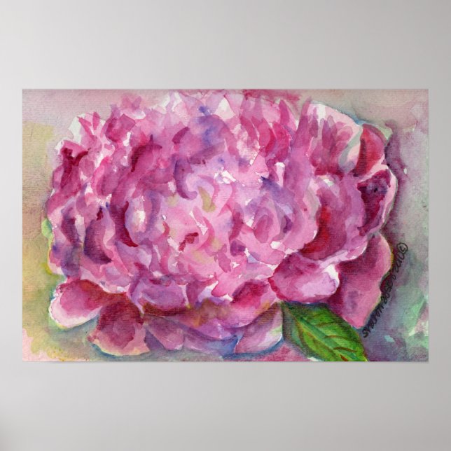 Poster Aquarelle Peony (Devant)