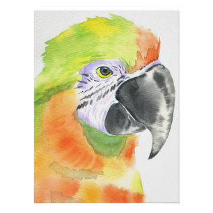 Poster Aquarelle perroquet