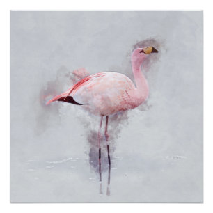 Poster Aquarelle rose de Flamant rose