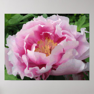 Poster Aquarelle rose Peony Floral fin