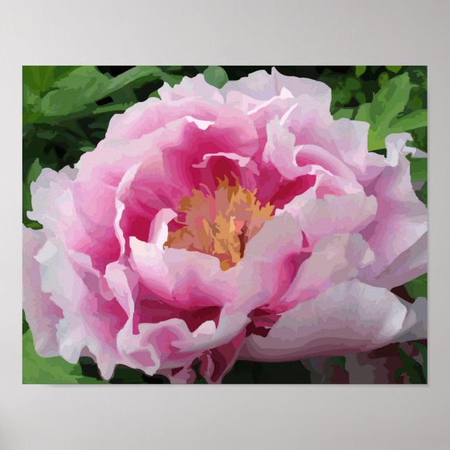 Poster Aquarelle rose Peony Floral fin (Devant)