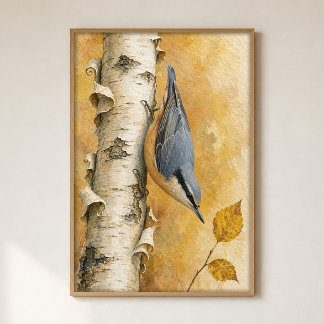 Poster aquarelle sittelle sur un tronc de bouleau