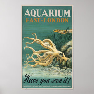 Poster Aquarium, poulpe est de Londres