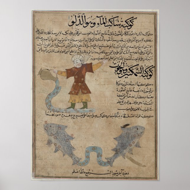 Poster Aquarius et Poissons (Devant)