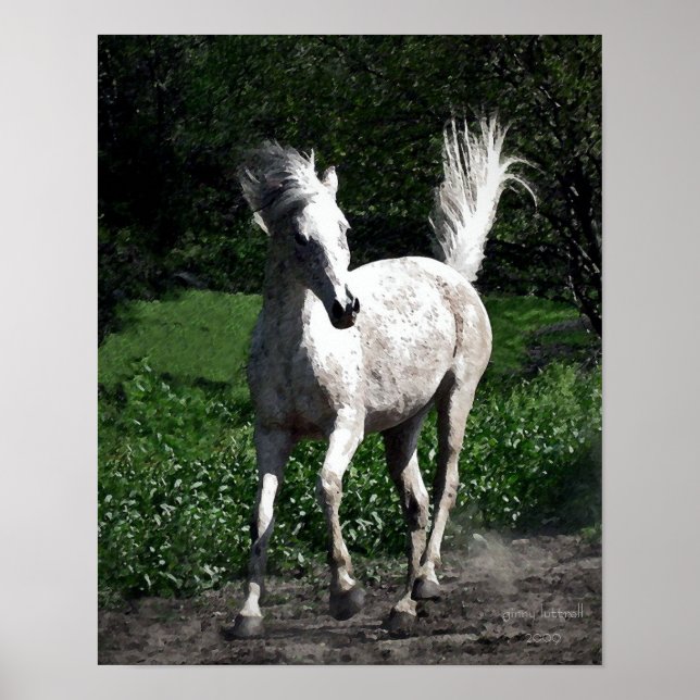 Poster Arab Mare (Devant)