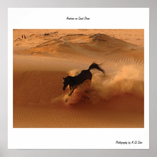 Poster Arabe sur la dune de sable (Devant)