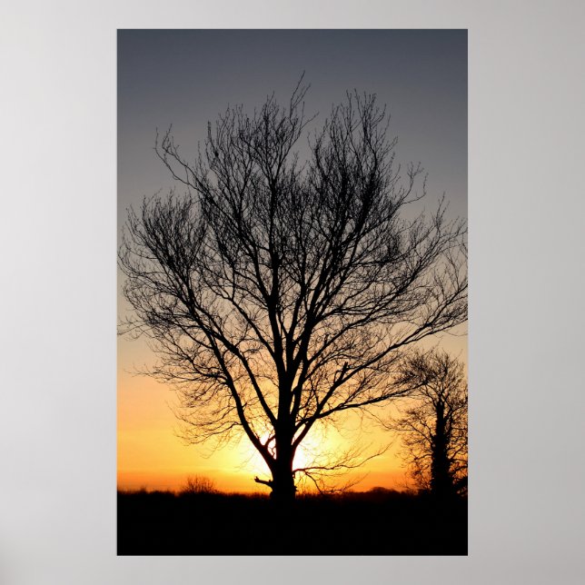 Poster Arborescence (Devant)