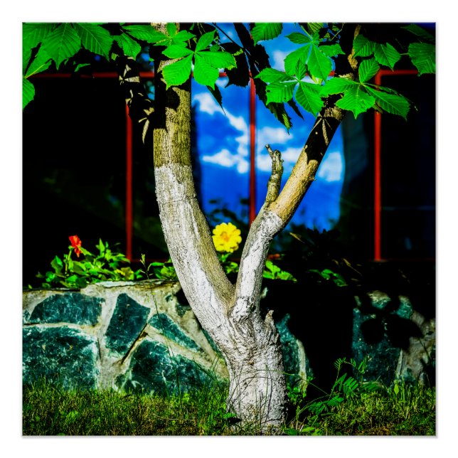 Poster Arbre à châtaignier (Devant)