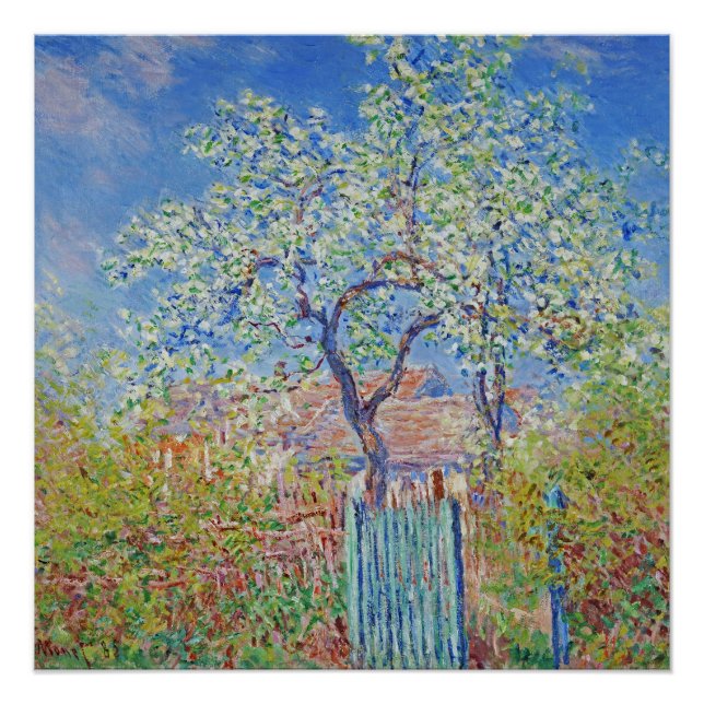 Poster Arbre à poires en fleurs - Claude Monet (Devant)