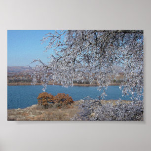 Poster Arbre congelé