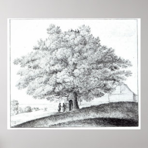 Poster Arbre creux à Hampstead, 1663