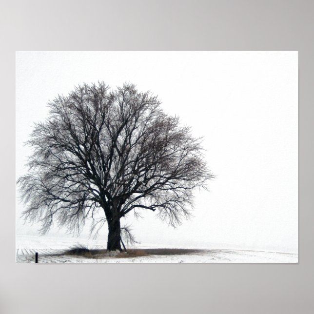 Poster arbre dans la neige (Devant)