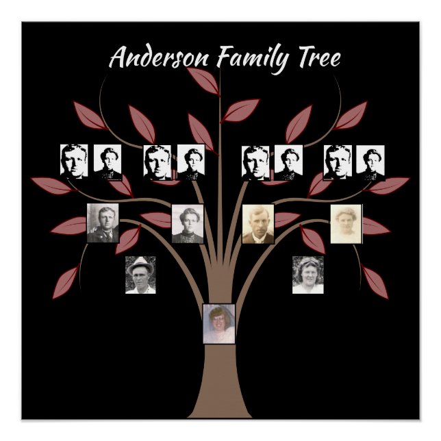 Poster Arbre de famille photo de quatre générations Whisp (Devant)