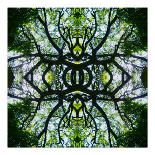 Poster Arbre de Kaleidoscope