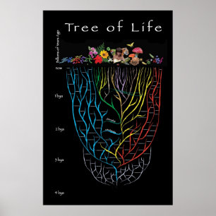 Poster Arbre de la vie